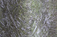 Lulsley fibreglass roof work